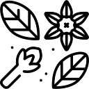 Authentic Indian Spices